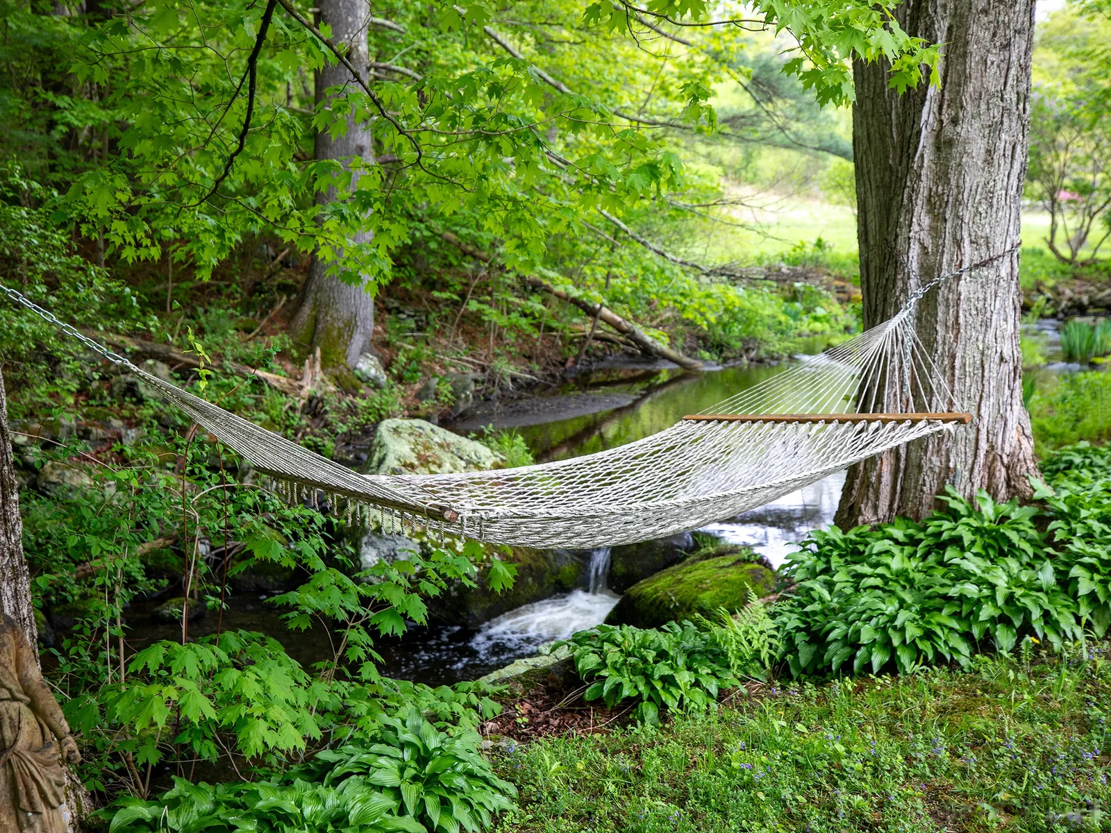 Hammock above Hill Brook beneath mature trees
